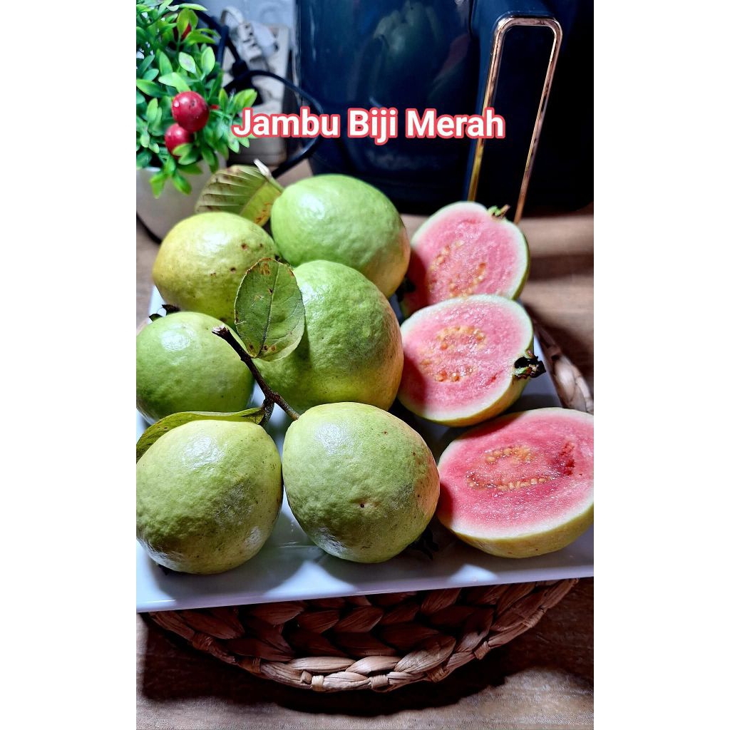 

Jambu Merah / Jambu Biji (merah) 500 gr
