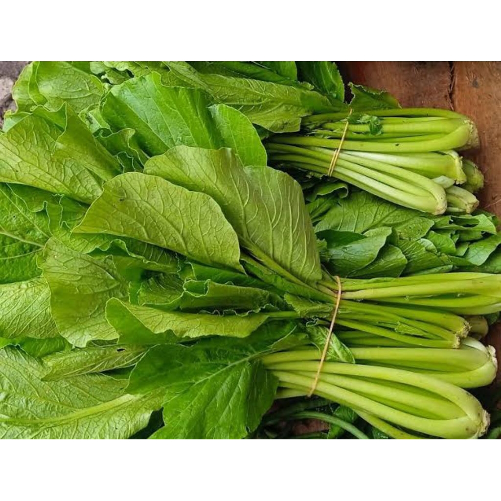 

sawi ijo(caisim) 250 gram