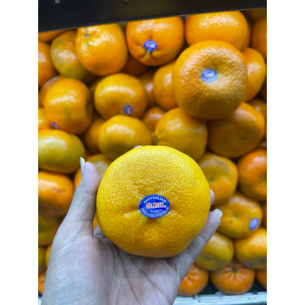 

Jeruk Afourer Seedlees Australia | Jeruk Afourer Jumbo Australia 1 Kg