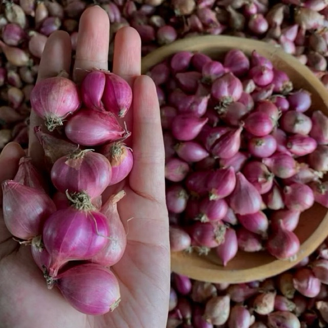

(Super 1Kg) Bawang Merah Super Murah Berkualitas Sedap Kering
