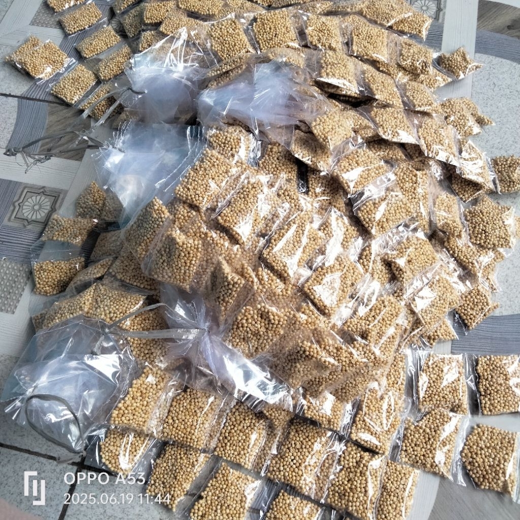 

ketumbar isi 5 renceng/25 bungkus