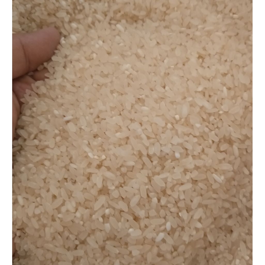 

Beras Mentik Wangi Organik non Pestisida