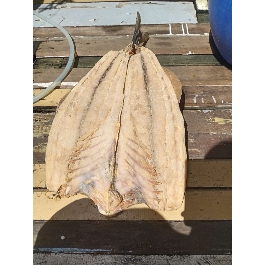 

ikan asin talang super 500 gram/janphu/yanphou/jambal