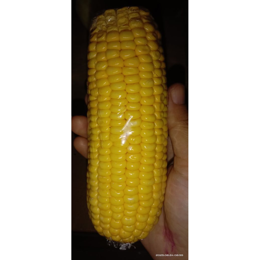 

jagung manis murah 1 biji