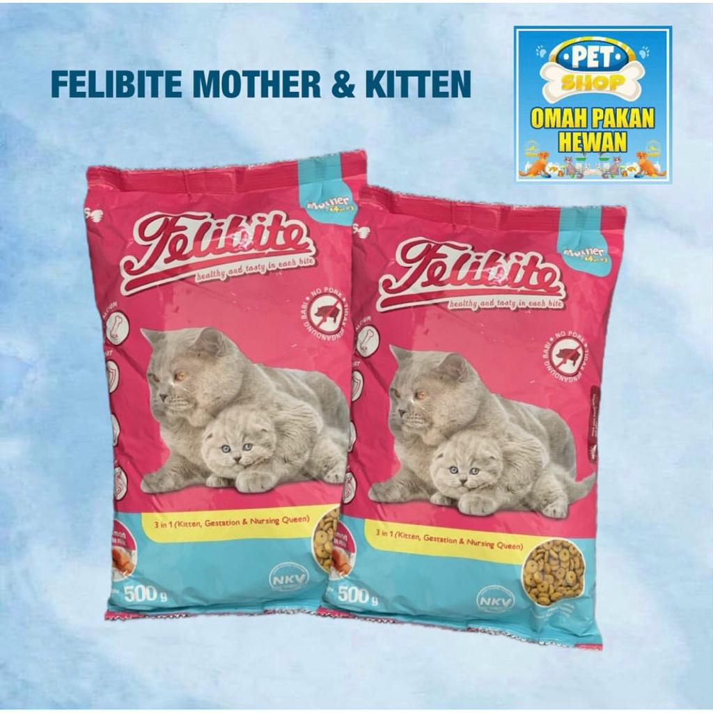 Felibite Mother & Kitten