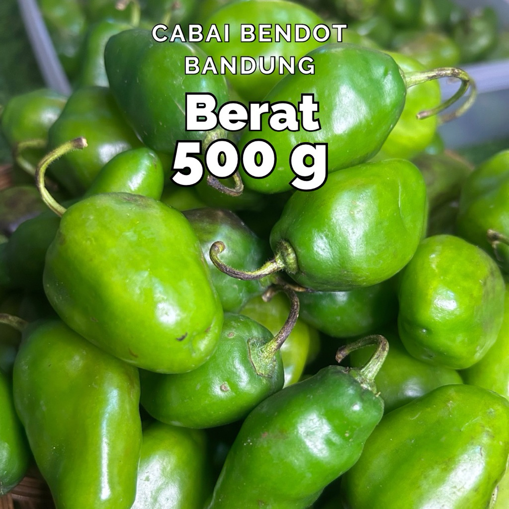 

Cabai Gendot/Bendot hijau Pedas Bandung