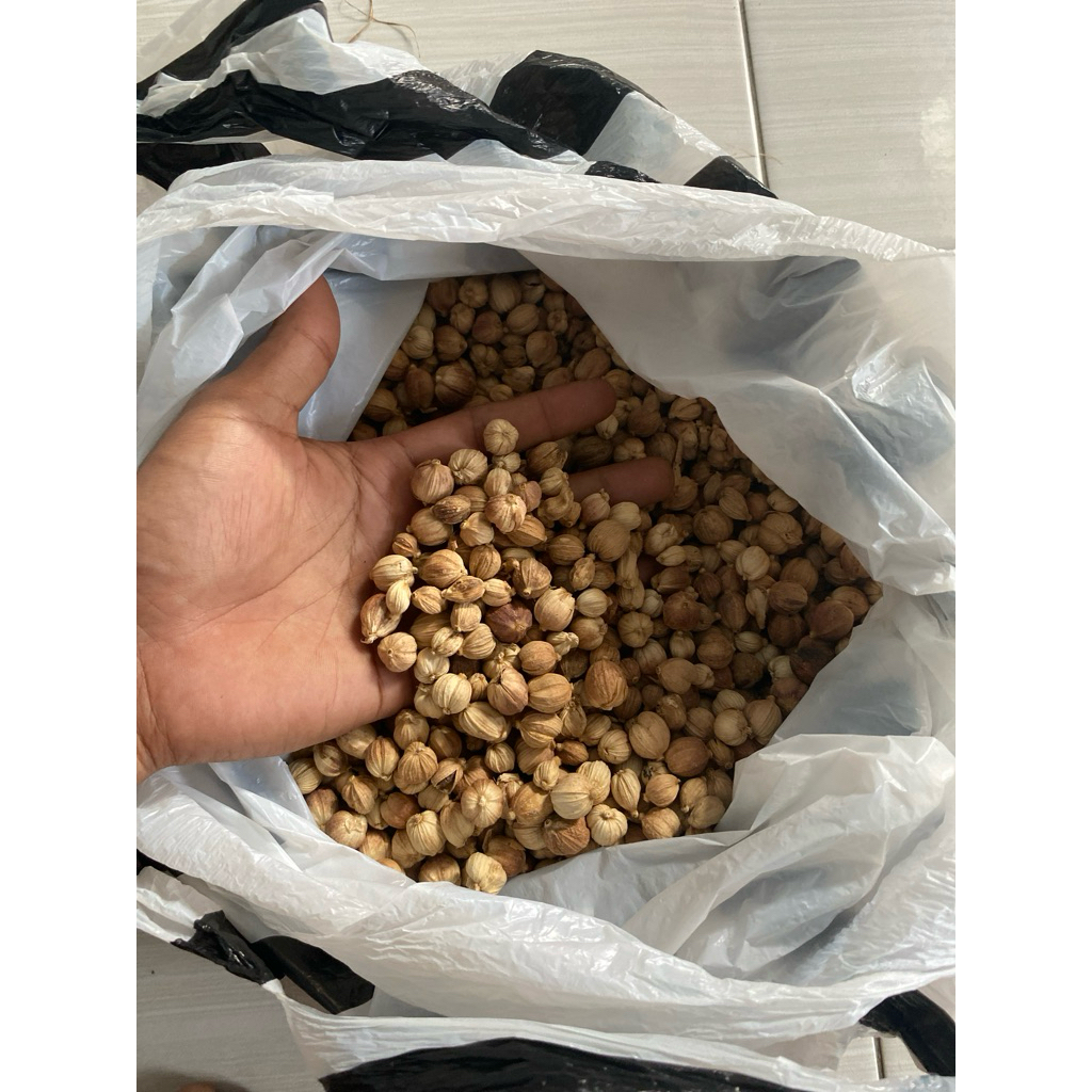 

Kapulaga Kering 100gram Rempah JSR Empon-Empon Bumbu Tradisional Bumbu Pawon