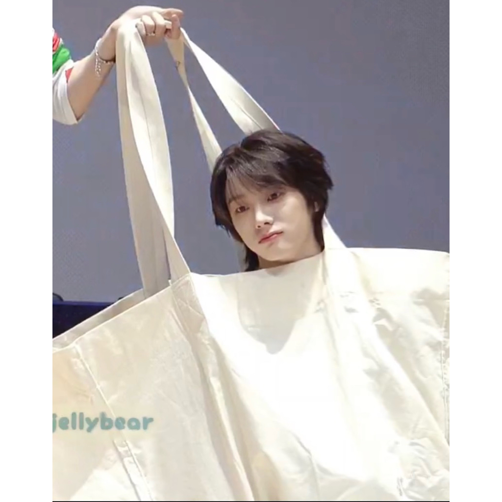 

PACKING BOX BESAR 5KG GO HAEYFLO