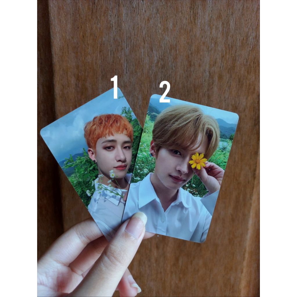 PHOTOCARD STRAY KIDS NOEASY