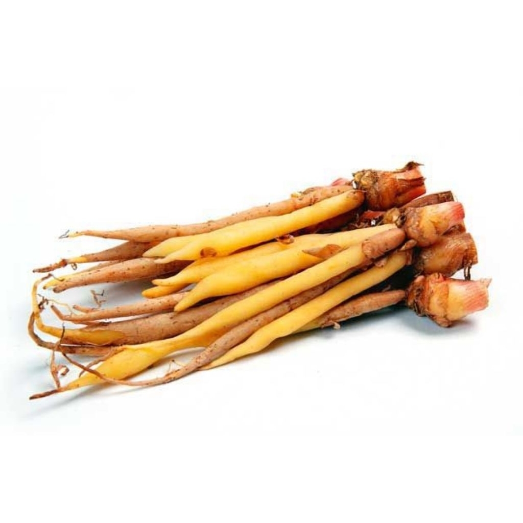 

Temu Kunci / Lalap Kunci Segar Fresh 500 gram