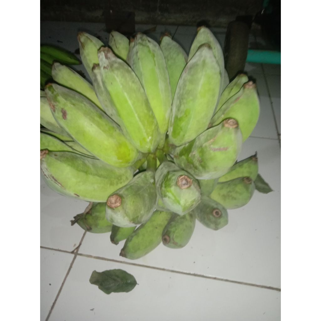 

pisang uli/bangkawulu