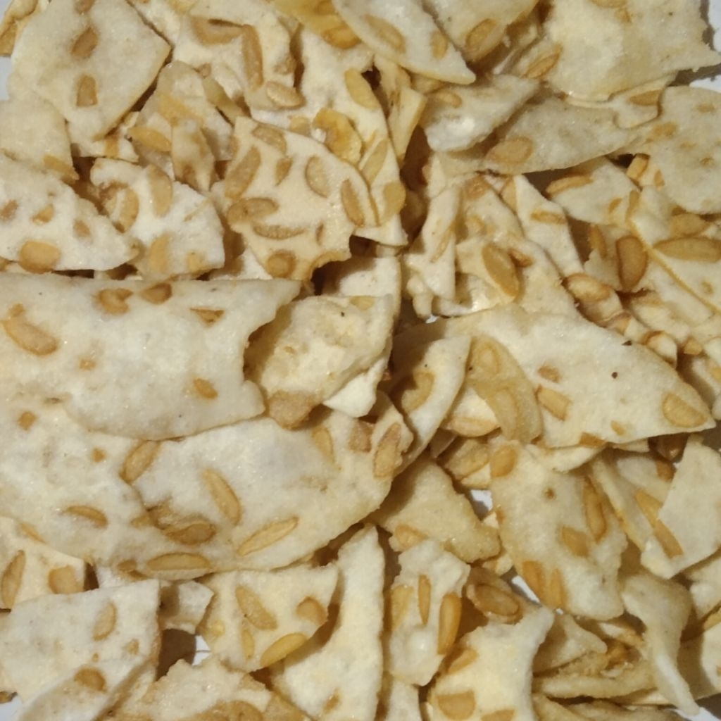 

REMUKAN KERIPIK TEMPE SAGU (500gr)