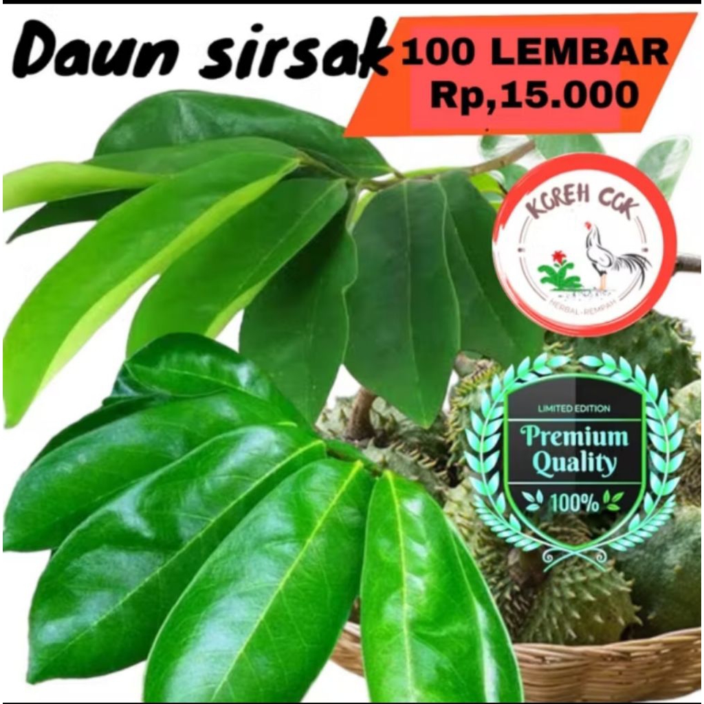 

100 lembar daun sirsak asli|organik|fresh