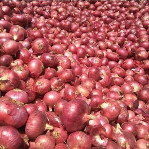 

Bawang Merah Fress langsung Dari Petani