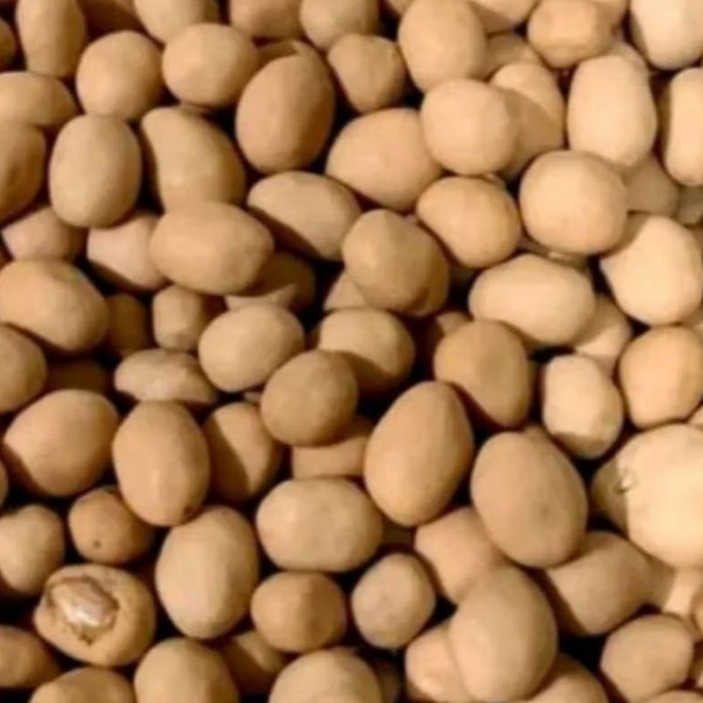 Kacang Atom Bima / Kacang Atom Oven / Kacang Oven / Kacang Atom