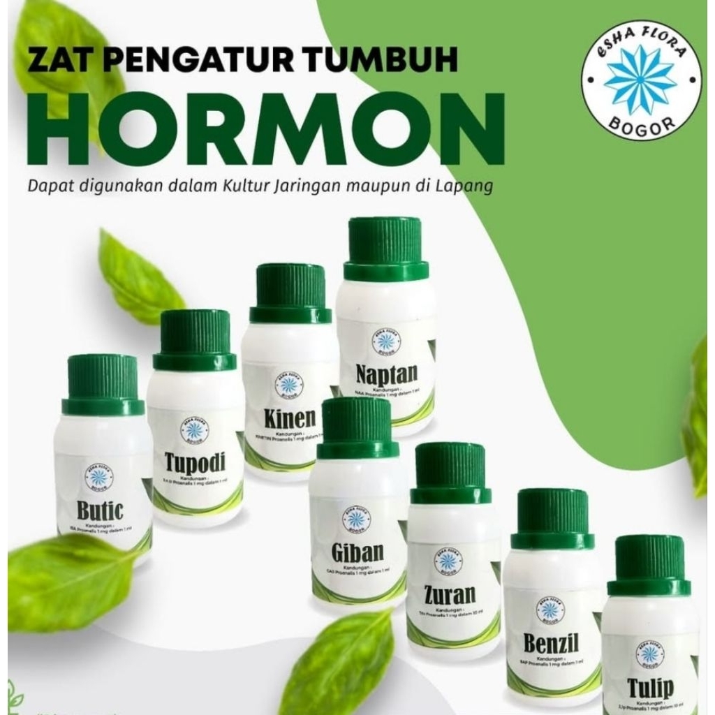 Hormon Proanalis Kultur Jaringan IBA BAP TDZ 2ip GA3 24D NAA Kinetin