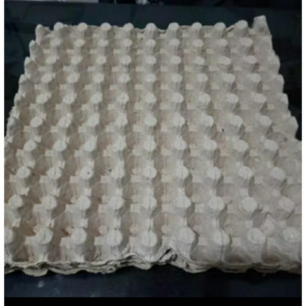 egg tray puyuh per pcs