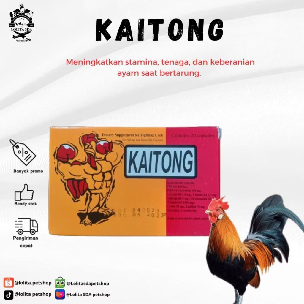 kaitong suplemen ayam