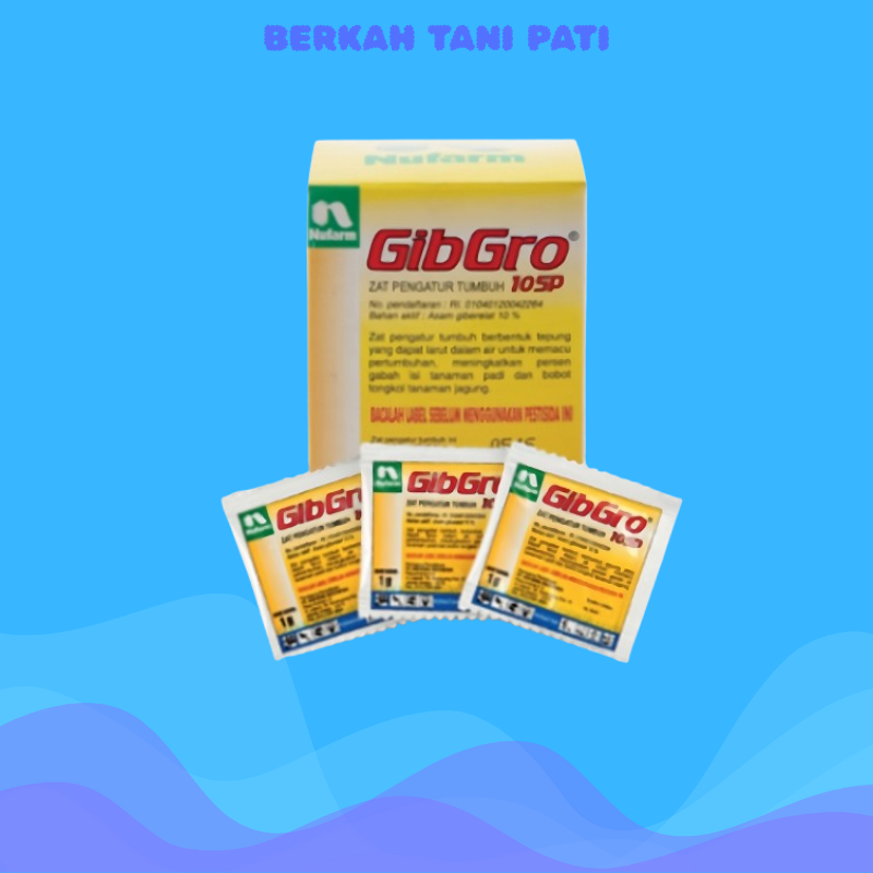 Gibgro 10SP