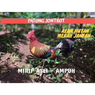 PATUNG JONTROT AYAM HUTAN MERAH JANTAN - JONTROT AYAM HUTAN MERAH JANTAN