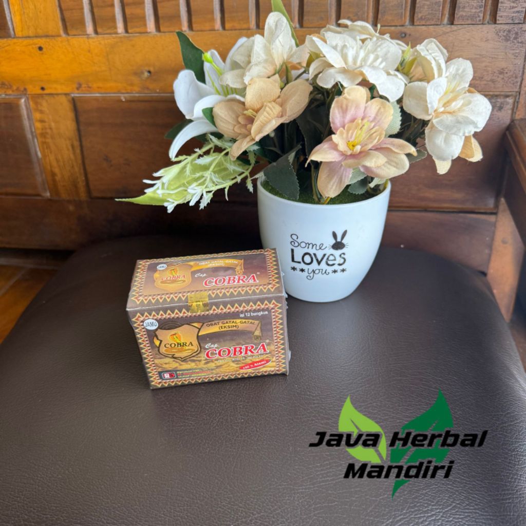 

jamu herbal COBRA untuk gatal & eksim