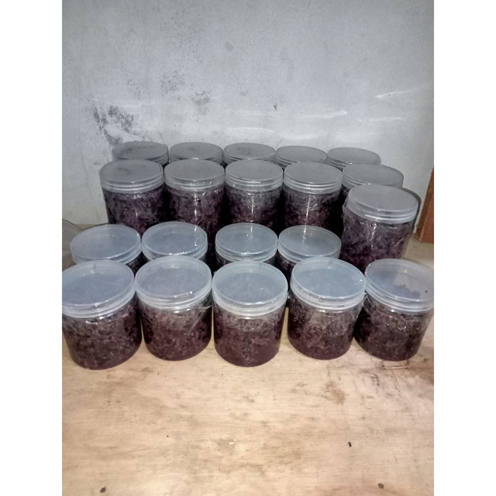 

tape ketan hitam berat 700 gr memakai toples tabung