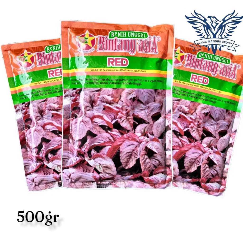 Red 500gr Benih Bayam merah bintang asia
