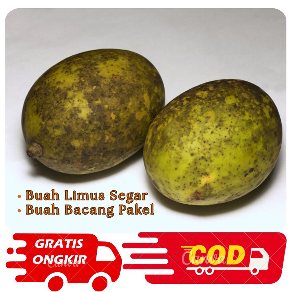 

Buah Limus Segar 1kg-Buah Bacang Pakel Segar