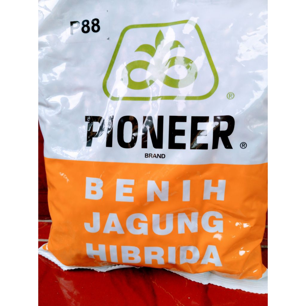 Benih Jagung Hibrida P88 Tentram