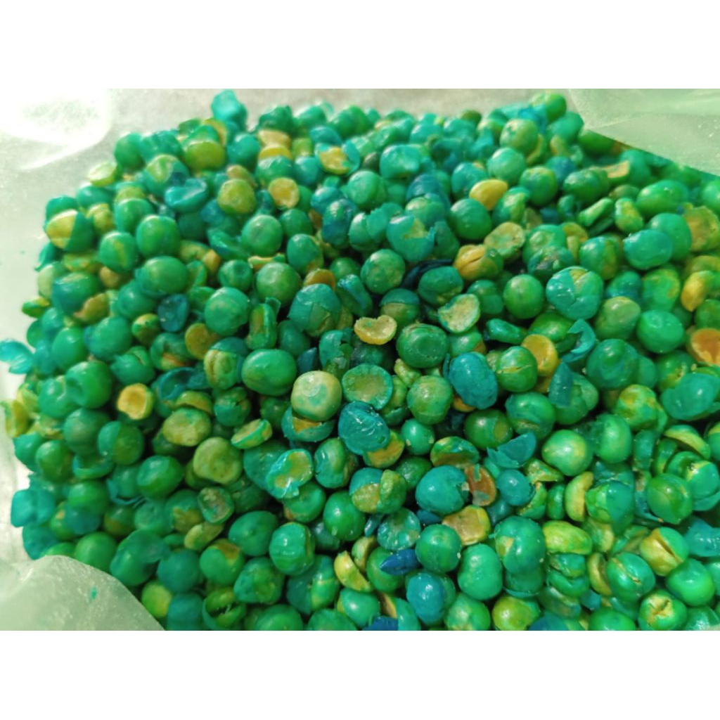 

kacang polong hijau jaipong