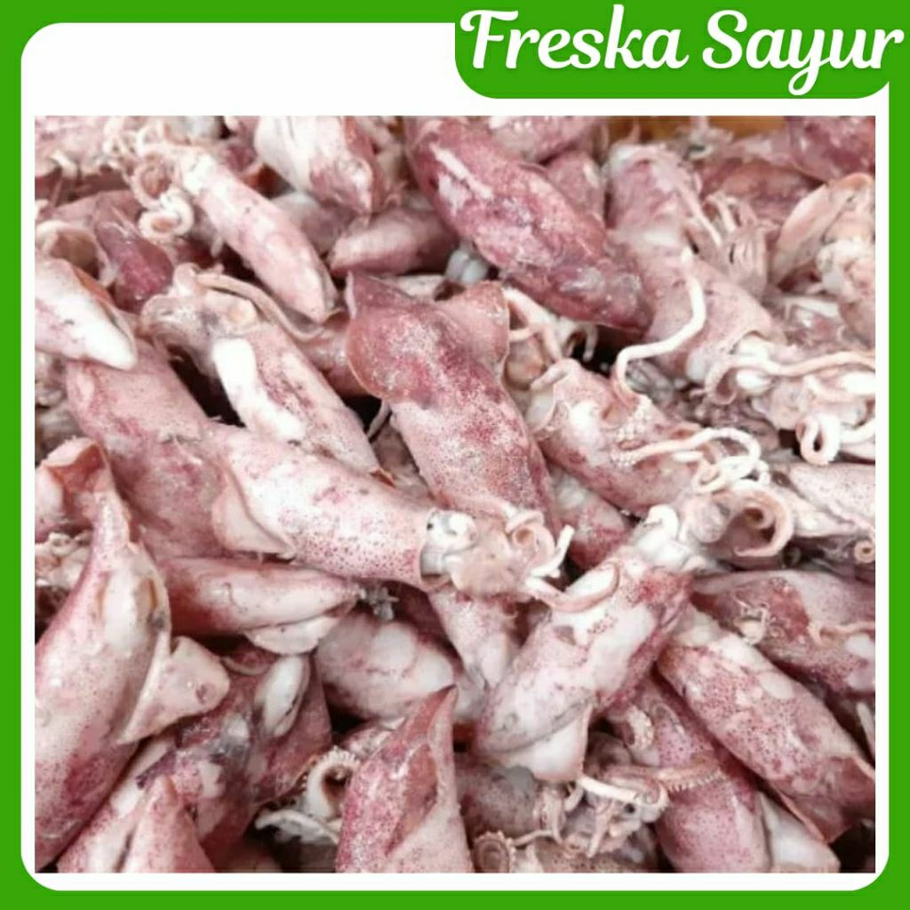 

Ikan Asin Cumi Asin 500 gr