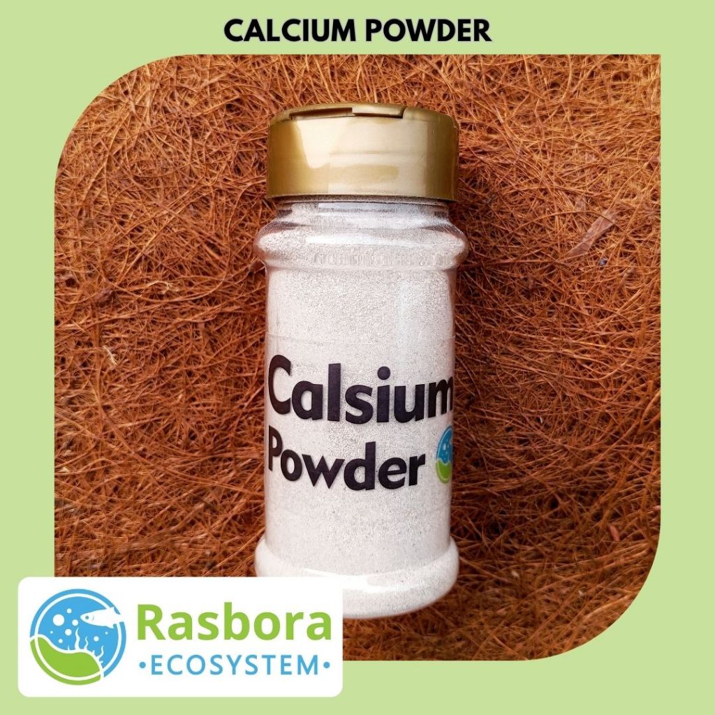Calcium Powder Bubuk Kalsium Suplemen Isopod Reptil Calsium Carbonate Untuk Pertumbuhan Optimal Dan 