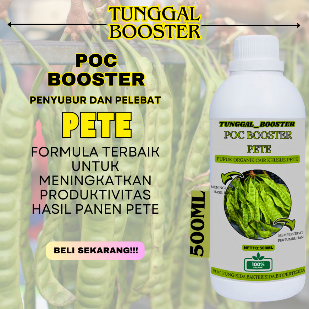 Pupuk Pete Cepat Berbuah Booster Pete / Pupuk Petai Agar Cepat Berbuah Pupuk Booster Petai Pupuk Per