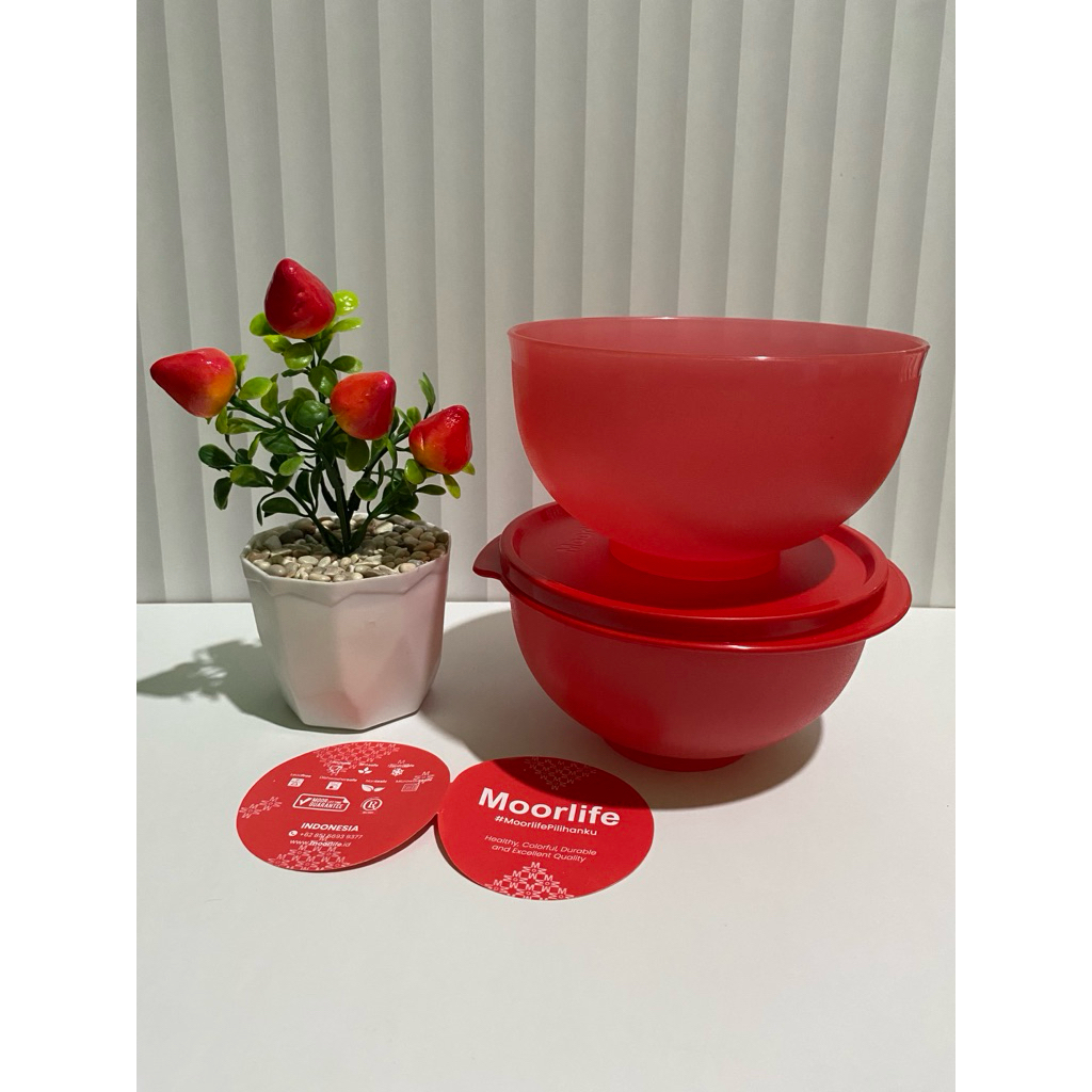 Tazza bowl (1) moorlife