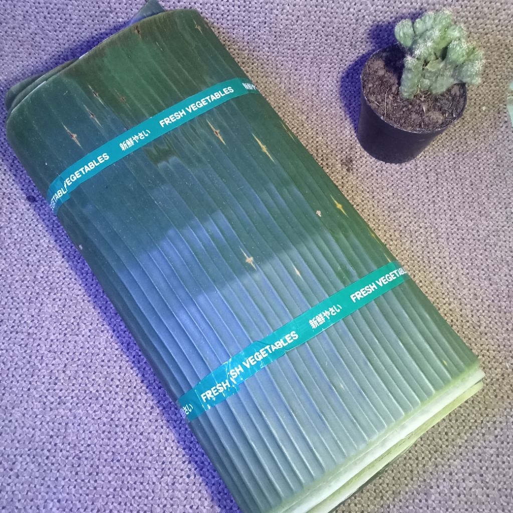 

Daun Pisang fresh 500gr untuk pembungkus makanan