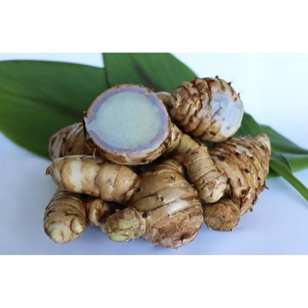 

temu Ireng herbal/kunyit Hitam segar dan pres