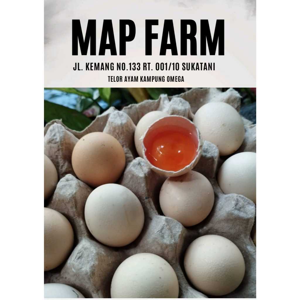 

Telur Ayam Kampung Omega 3 Premium