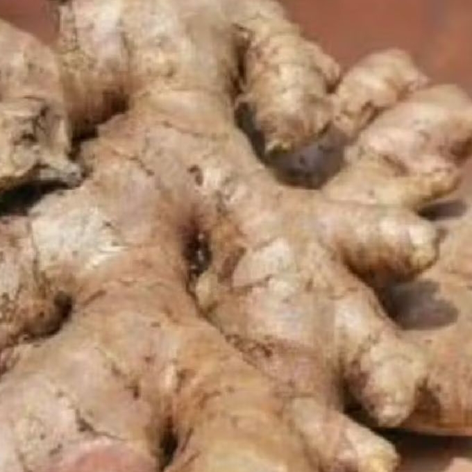 

jahe gajah jahe unggul 500grm