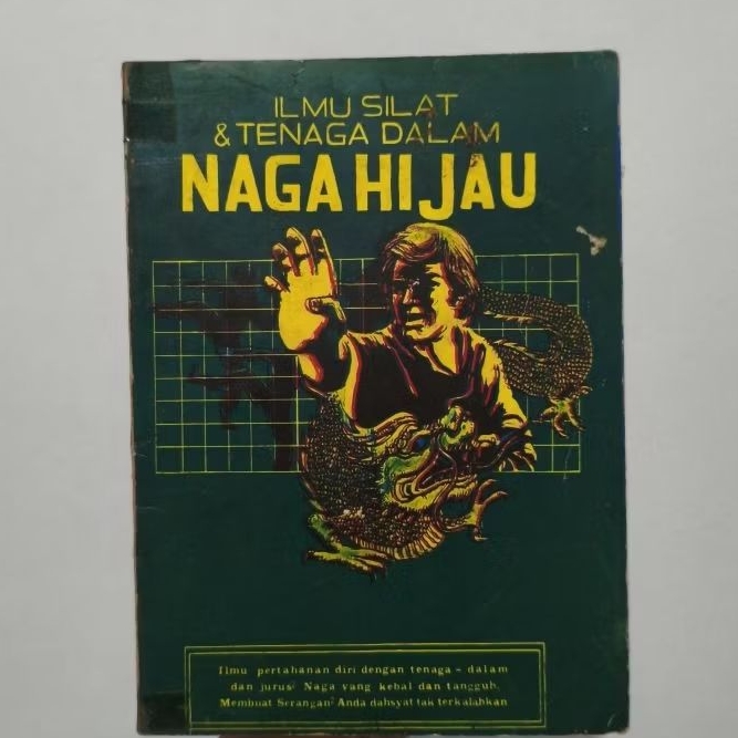 Buku Ilmu Silat & Tenaga Dalam Naga Hijau