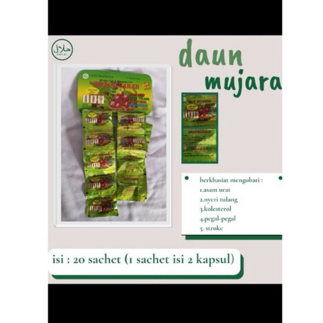 

BEST_Seller..DM Terbaik