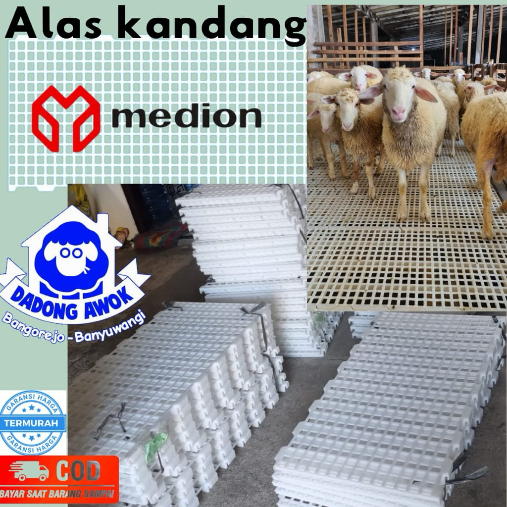 lantai alas kandang plastik - slat lantai kambing - alas lantai ayam - lantai kandang kambing MEDION
