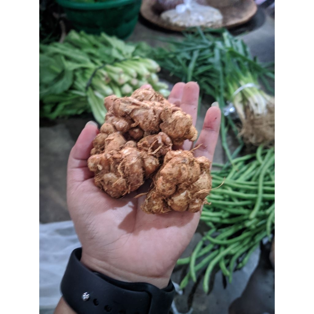 

jahe emprit 250 gram