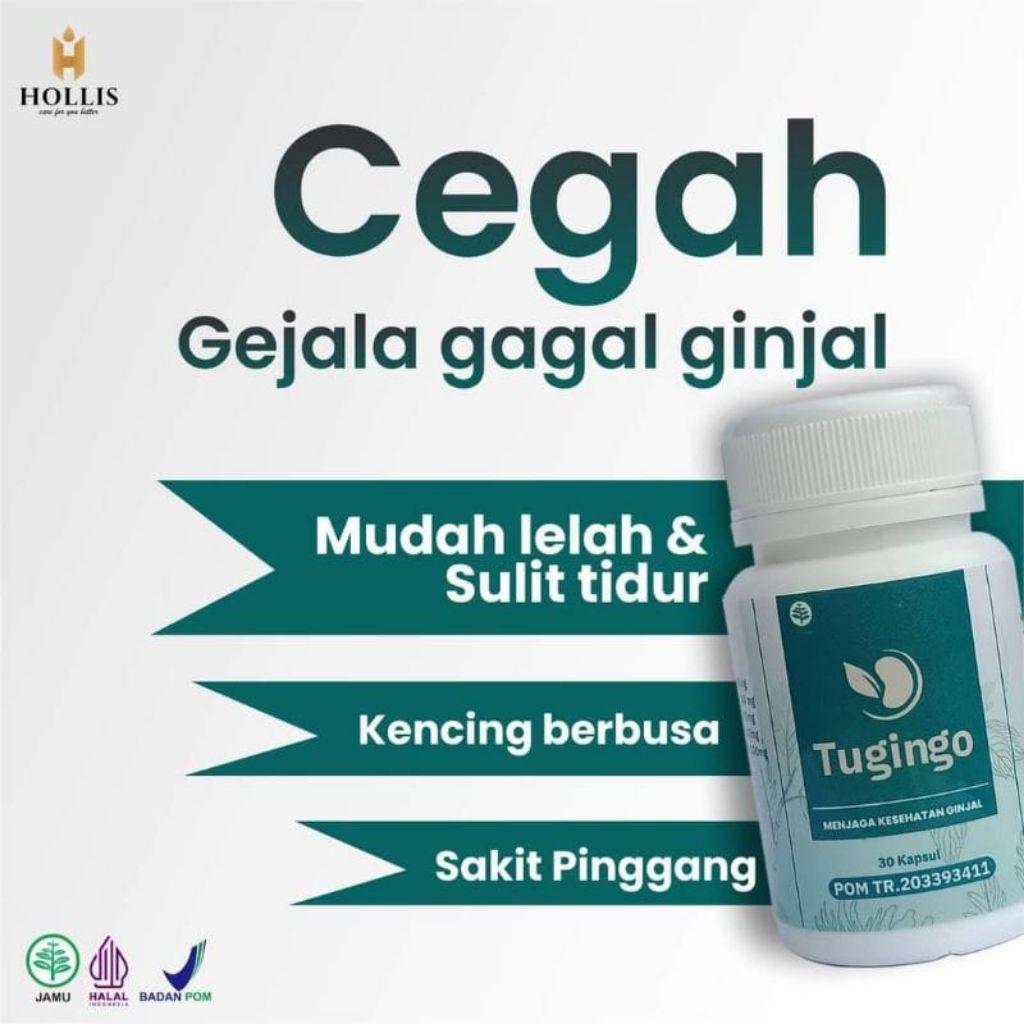 TUGINGO Official Store Obat Herbal Batu Ginjal 30 Kapsul Tugingo Original Obat Herbal Ginjal