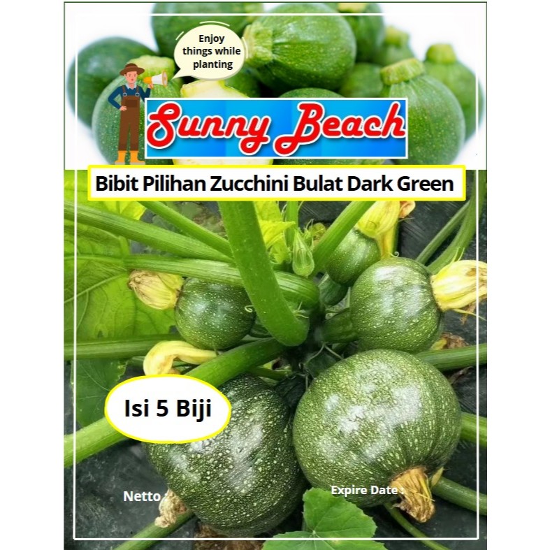Bibit Pilihan Zucchini Bulat Dark Green | Biji Benih  Zucchini Bulat Dark Green | Zucchini