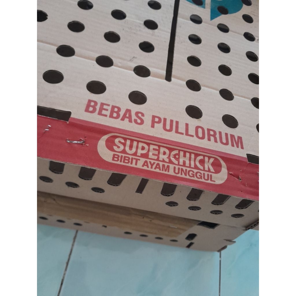 

DOC AYAM KAMPUNG KUB2-KARDUS BERLUBANG PACKING SUPER-DOC AYAM KAMPUNG UNGGULAN KUB, ANAK AYAM KAMPUNG UNGGULAN KUB, AYAM KAMPUNG UNGGULAN Umur 0-3 Minggu BERGARANSI MATI GANTI AYAM HIDUP, Insya Allah berkualitas baik, KARDUS PACKING SUPER KUAT