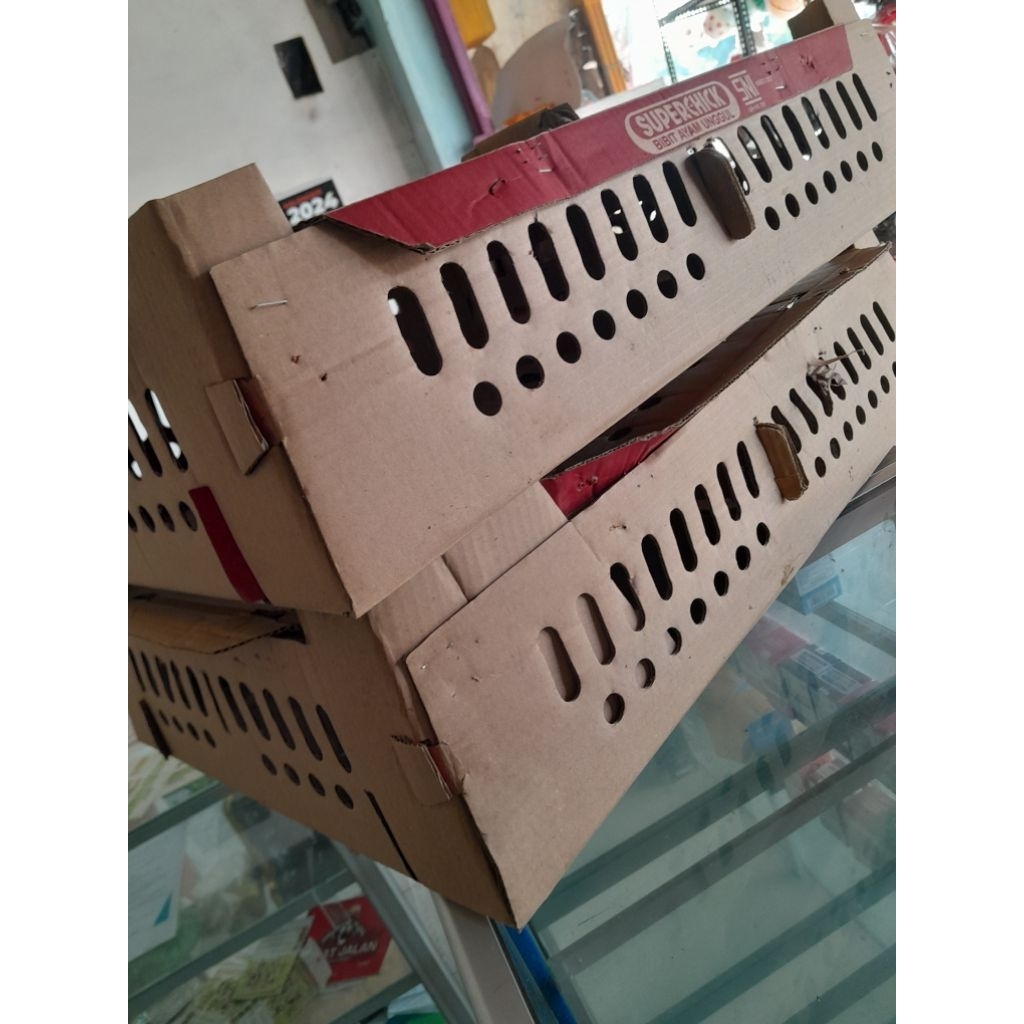 

BUKAN KARDUS PACKING TERBAIK-DOC ANAK AYAM KAMPUNG UNGGULAN KUB2 Umur 1-2 Minggu, DOC ANAK AYAM KAMPUNG JAWA Umur 2-3 Minggu Insya Allah lebih kuat dan sehat/GARANSI GANTI BARU