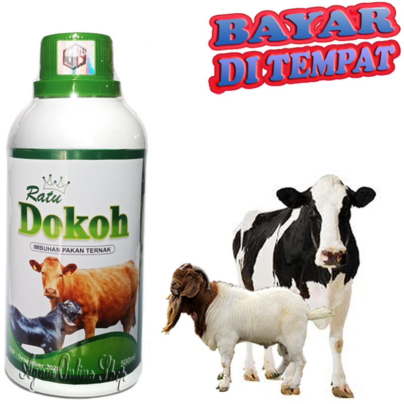 Penggemuk Sapi Kambing RATU DOKOH Probiotik Nafsu Makan Minum