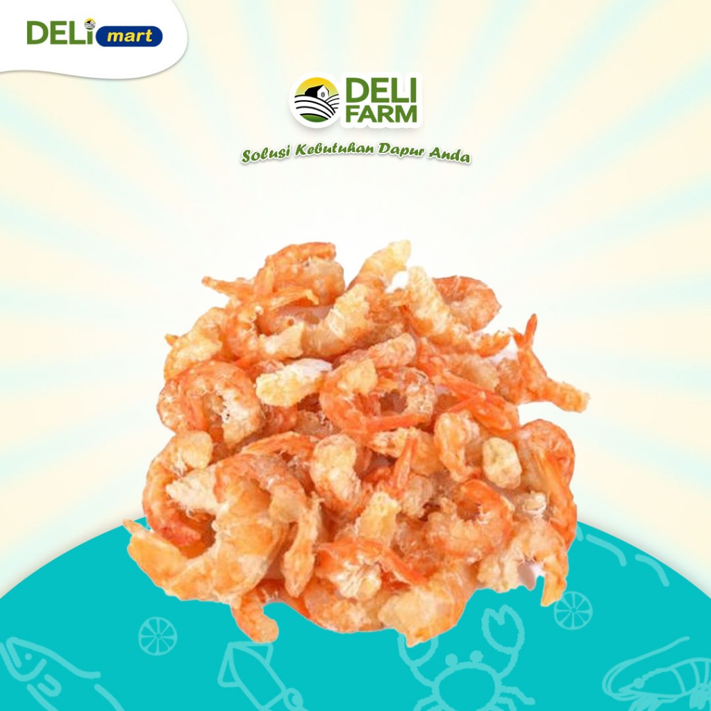 

Deli Mart [Khusus INSTAN Medan] Udang Kering / Ebi kering Asin by Deli Farm
