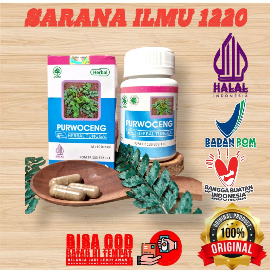 

HIU | PURWOCENG 60 Kapsul | Herba Stamina Pria