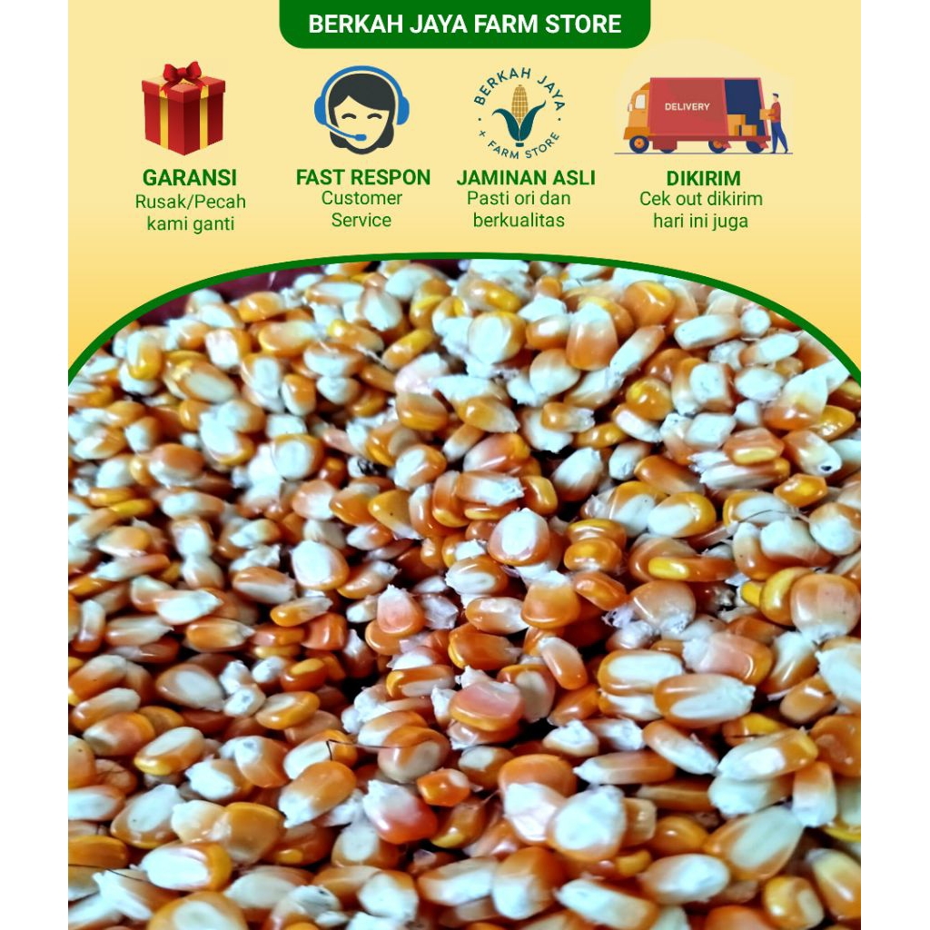 

jagung pipil murah bersih repack 250gram